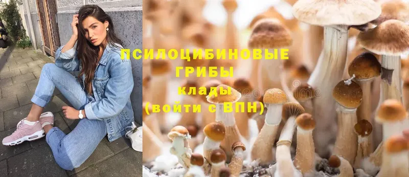 купить закладку  omg как зайти  Псилоцибиновые грибы Cubensis  Луховицы 